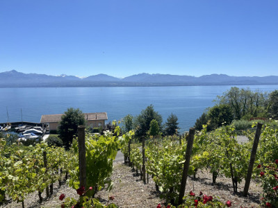 Magnifique appartement en viager occupé sans rente. Vue Lac et Port privé. image 1