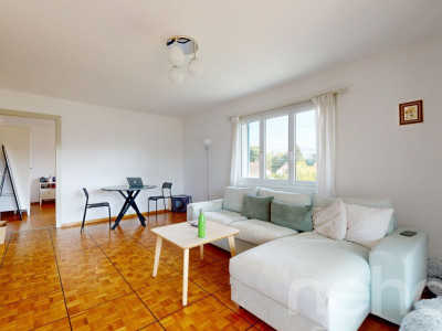 Maison composée de 2 lots avec un grand jardin, idéalement située. image 5