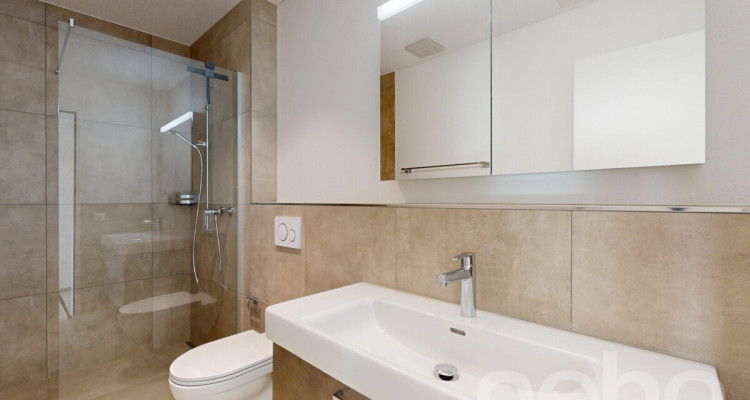 Moderne 4.5-Zimmerwohnung mit grossem Balkon und hochwertiger Küche image 9