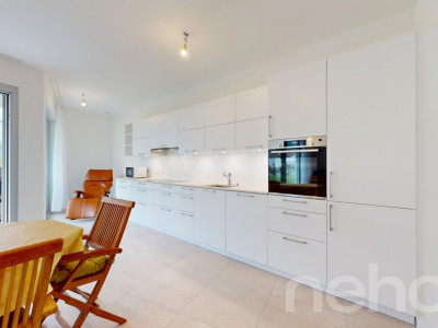 Magnifique 4,5 pièces avec grand jardin -  Saillon image 3