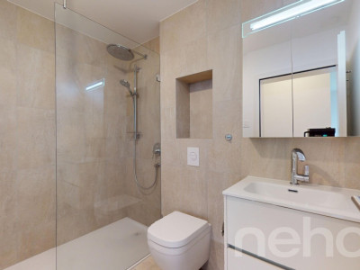 Magnifique 4,5 pièces avec grand jardin -  Saillon image 9