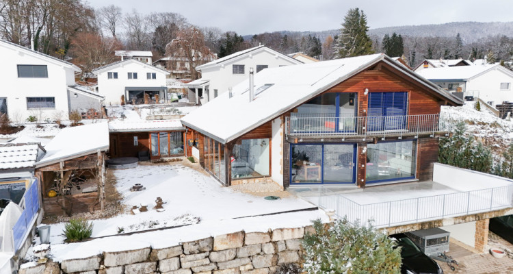 Villa individuelle avec vue panoramique et espace bien-être image 1