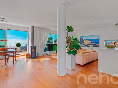 Duplex d?exception alliant calme absolu et vue panoramique sur le lac image 2