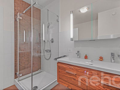 Duplex d?exception alliant calme absolu et vue panoramique sur le lac image 9