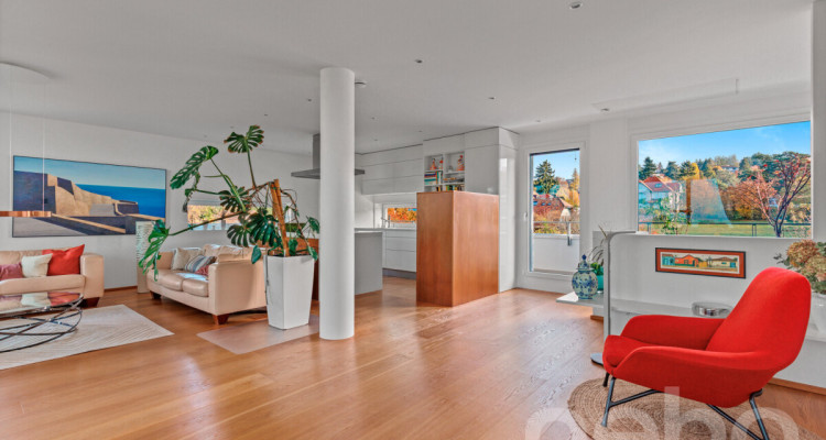 Duplex d?exception alliant calme absolu et vue panoramique sur le lac image 1