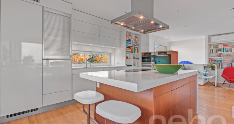 Duplex d?exception alliant calme absolu et vue panoramique sur le lac image 4