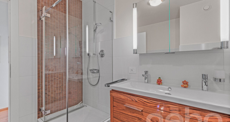 Duplex d?exception alliant calme absolu et vue panoramique sur le lac image 9