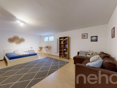 Duplex lumineux avec grand jardin privatif image 10