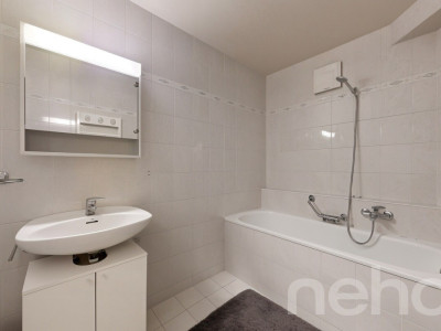 Duplex lumineux avec grand jardin privatif image 11