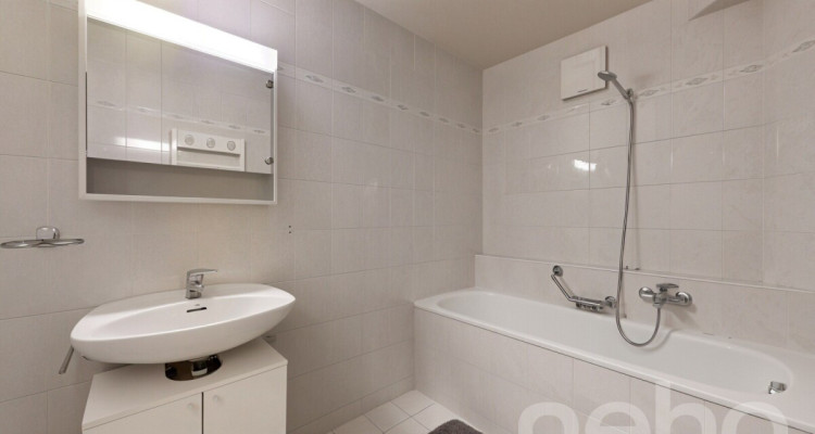 Duplex lumineux avec grand jardin privatif image 11