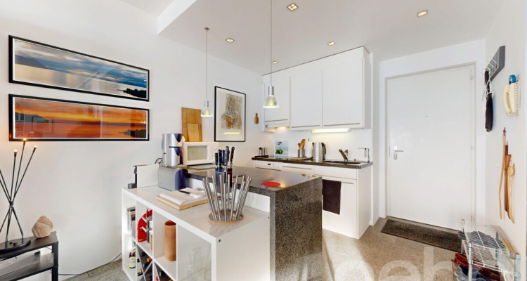 Loft d?exception face au lac et aux Alpes - avec piscine et sauna image 8