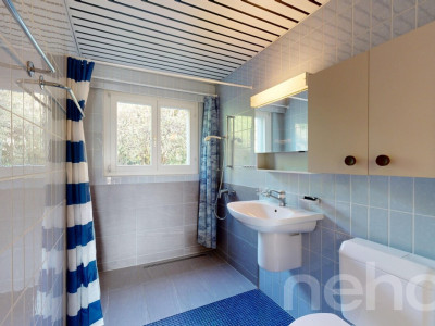 Charme intemporel et confort moderne avec vue sur le lac ! image 11