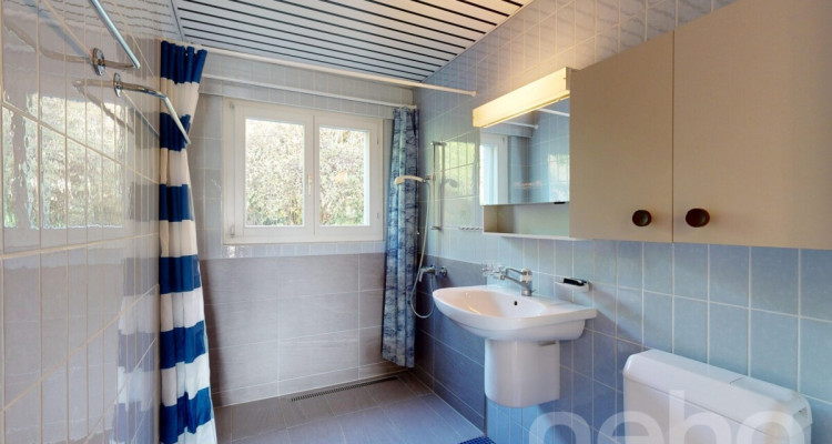 Charme intemporel et confort moderne avec vue sur le lac ! image 11