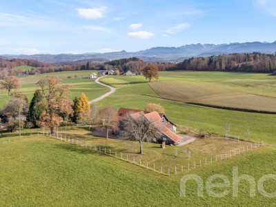 Maison coup de c?ur avec potentiel rare et vue dégagée image 11