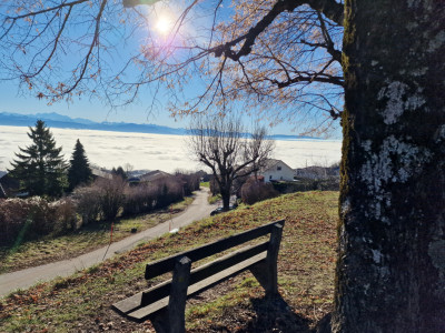 Off market : Une Villa unique, contemporaine et individuelle /quartier résidenti image 4