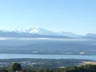 Off market : Une Villa unique, contemporaine et individuelle /quartier résidenti image 3