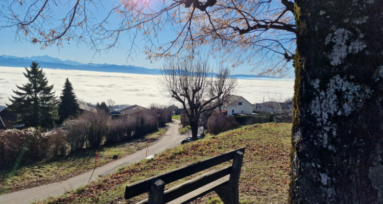 Off market : Une Villa unique, contemporaine et individuelle /quartier résidenti image 4