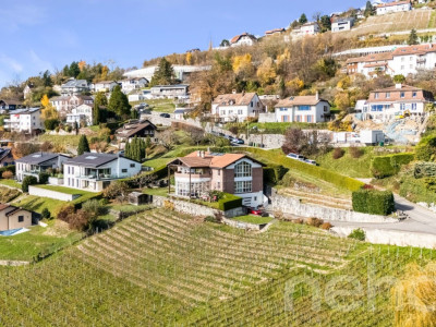 Superbe maison individuelle avec vue imprenable sur le lac à Grandvaux image 3