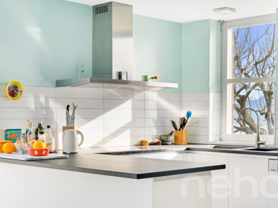 Superbe maison individuelle avec vue imprenable sur le lac à Grandvaux image 7