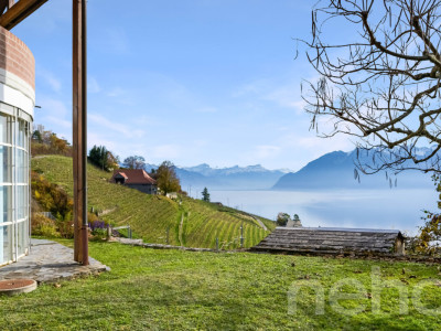 Superbe maison individuelle avec vue imprenable sur le lac à Grandvaux image 10