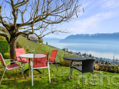 Superbe maison individuelle avec vue imprenable sur le lac à Grandvaux image 11