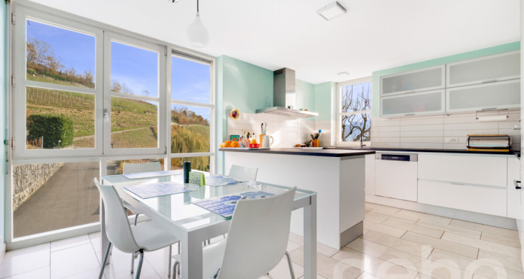 Superbe maison individuelle avec vue imprenable sur le lac à Grandvaux image 5