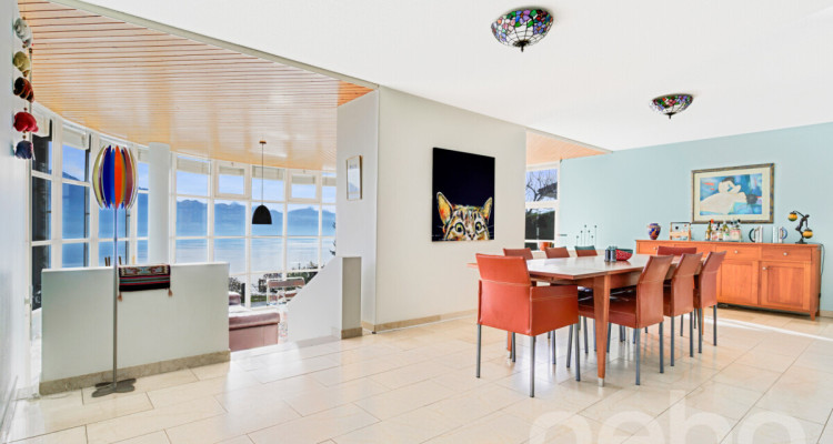 Superbe maison individuelle avec vue imprenable sur le lac à Grandvaux image 8