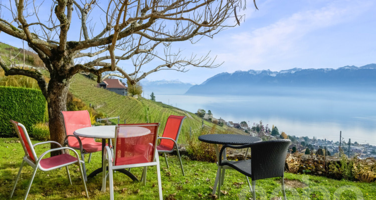 Superbe maison individuelle avec vue imprenable sur le lac à Grandvaux image 11