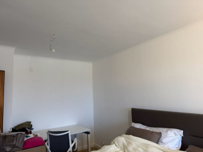 Magnifique 1.5 pièces rénové avec balcon à St-Jean, Genève image 7