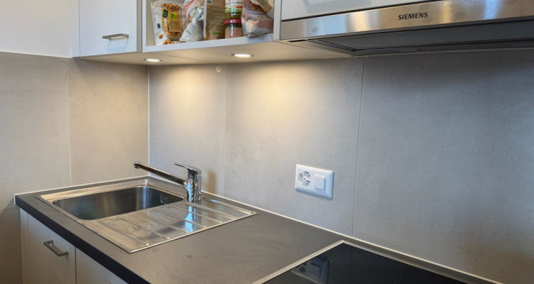 Magnifique 1.5 pièces rénové avec balcon à St-Jean, Genève image 4