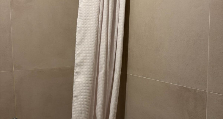 Magnifique 1.5 pièces rénové avec balcon à St-Jean, Genève image 6