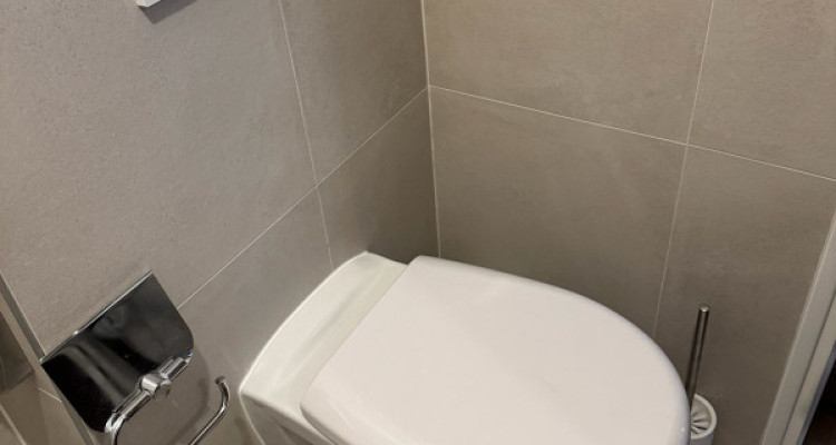 Magnifique 1.5 pièces rénové avec balcon à St-Jean, Genève image 8