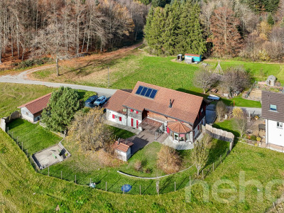 Maison individuelle lumineuse rénovée avec grand jardin et garage image 3