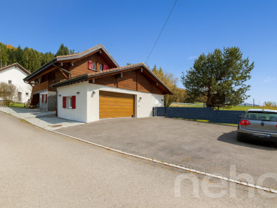 Maison individuelle lumineuse rénovée avec grand jardin et garage image 4