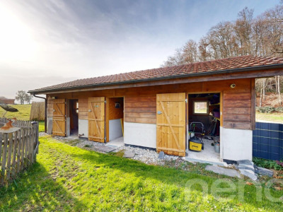 Maison individuelle lumineuse rénovée avec grand jardin et garage image 8