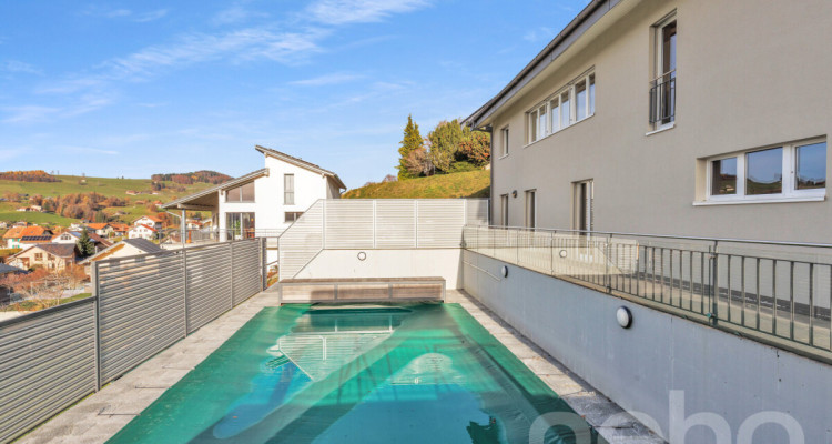 Le luxe discret à La Roche: Villa d?Exception avec Vue Panoramique image 4