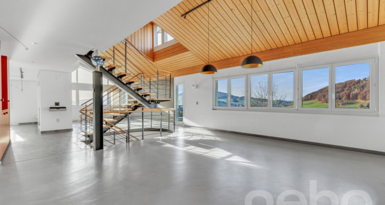 Le luxe discret à La Roche: Villa d?Exception avec Vue Panoramique image 8