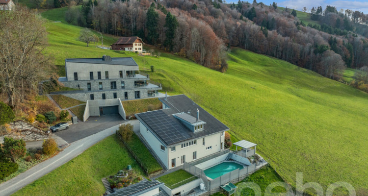 Le luxe discret à La Roche: Villa d?Exception avec Vue Panoramique image 12