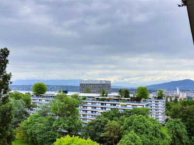 Superbe appartement en étage élevé avec piscine en viager occupé sans rente image 11