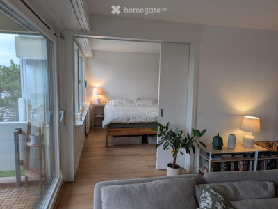 Magnifique appartement 4.5 pièces avec vue sur les montagnes à Rolle  image 7