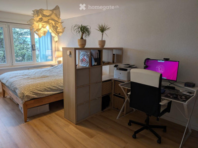 Magnifique appartement 4.5 pièces avec vue sur les montagnes à Rolle  image 9