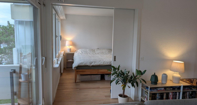 Magnifique appartement 4.5 pièces avec vue sur les montagnes à Rolle  image 7