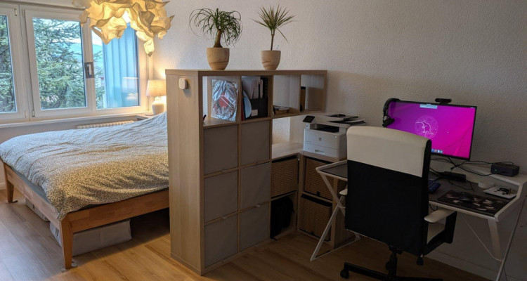 Magnifique appartement 4.5 pièces avec vue sur les montagnes à Rolle  image 9