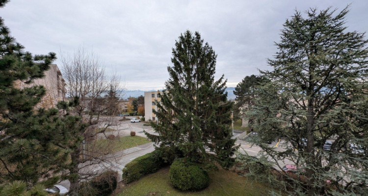 Magnifique appartement 4.5 pièces avec vue sur les montagnes à Rolle  image 11