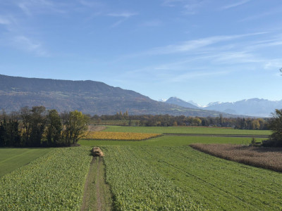 Superbe attique contemporain THPE 5 pièces - Vue dégagée et calme absolu image 3