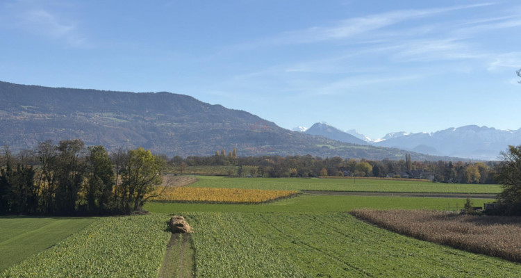 Superbe attique contemporain THPE 5 pièces - Vue dégagée et calme absolu image 3