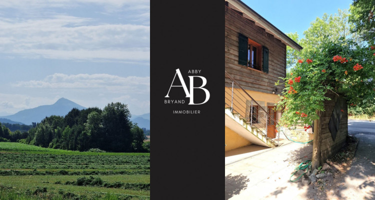 Authentique Duplex & Jardin, Presinge image 7