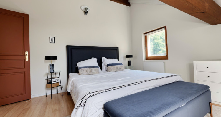 Authentique Duplex & Jardin, Presinge image 8