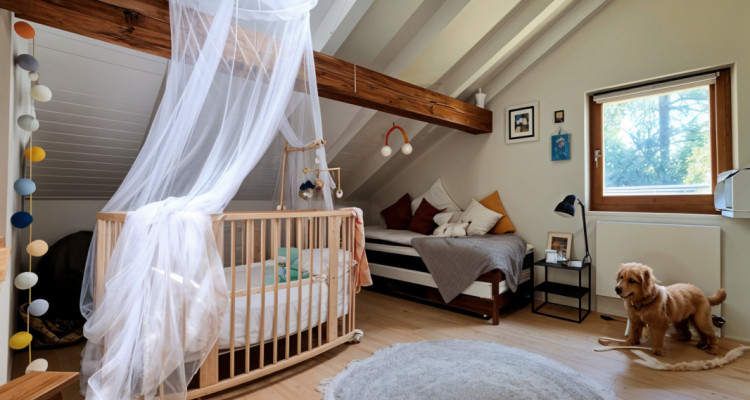 Authentique Duplex & Jardin, Presinge image 10