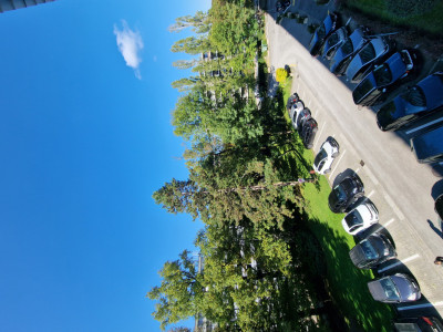 En exclusivité : Appartement luxueux et confortable avec piscines  image 10